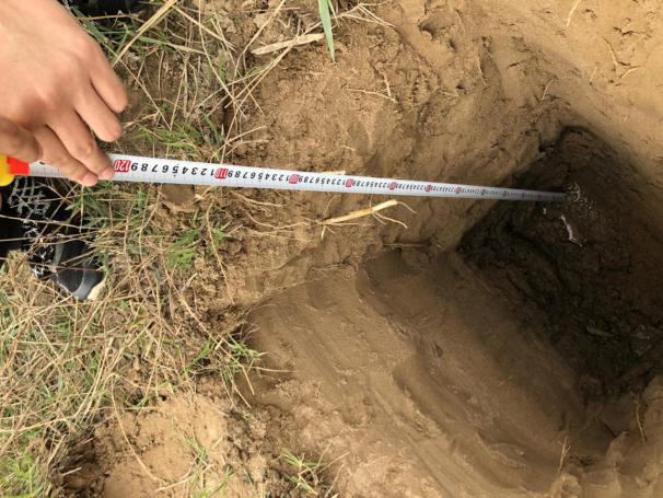 1584368045766641.png 中原油田采油區(qū)污染地塊場地調(diào)查與治理項(xiàng)目2.png